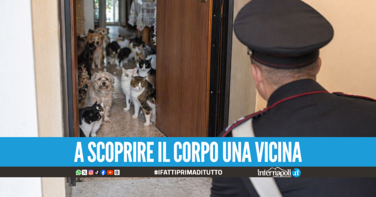Dramma della solitudine nel Casertano, 56enne trovata morta tra escrementi di animali