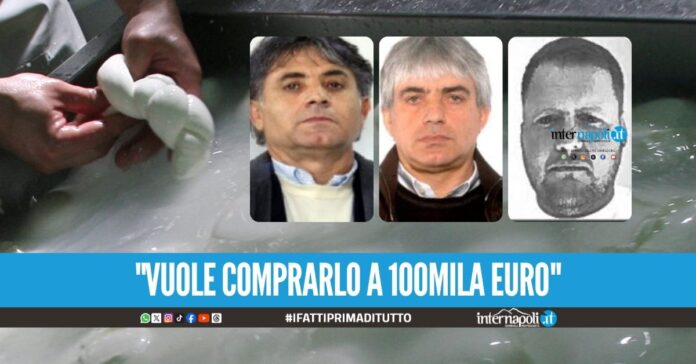 La trattativa tra i clan Zagaria e i Mallardo per il caseificio a Varcaturo