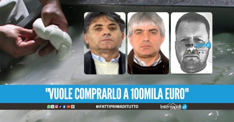 La trattativa tra i clan Zagaria e i Mallardo per il caseificio a Varcaturo
