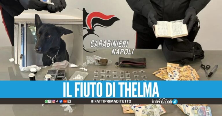 “Non fate entrare il cane, c’è il gatto”, la scusa della famiglia-pusher nel Napoletano
