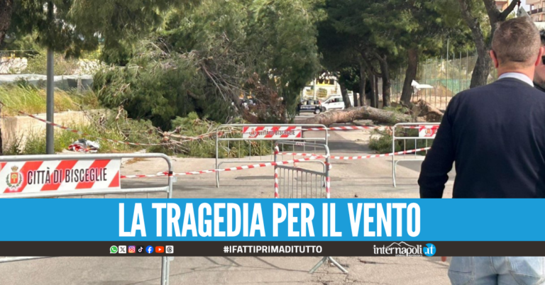 Due morti per il vento in Puglia, Alicia e Domenico avevano 12 e 38 anni