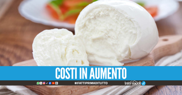 Mozzarella di bufala Dop, allarme aumento dei costi per la guerra in Iran