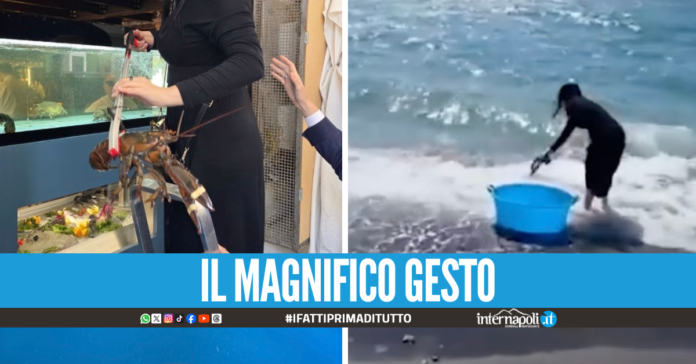 Pompei, turiste comprano due aragoste al ristornate e le liberano in mare