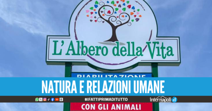 Sant’Antimo, dove l’inclusione prende forma il modello della cooperativa “Albero della Vita”