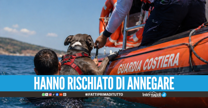 Si tuffa tra le onde per salvare il cane, salvati dalla Guardia Costiera a Castellammare