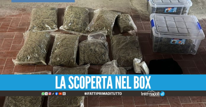 Blitz nel box a Chiaiano, sequestrati oltre 4 chili di droga