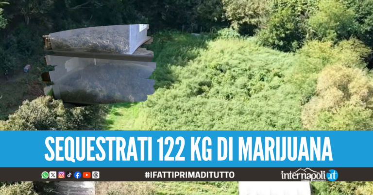 Coltivazione e spaccio di marijuana "a km zero", coppia "dal pollice verde" finisce nei guai