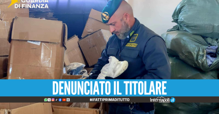 Base logistica del falso scoperta nel Napoletano, sequestrati 38mila capi