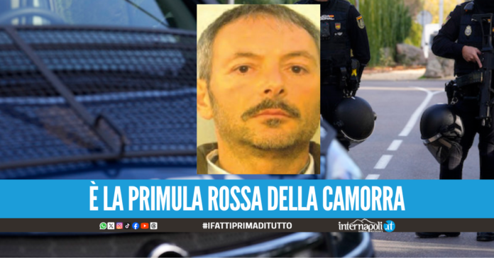 Racket a Secondigliano, catturato in Spagna il latitante Pietro Izzo