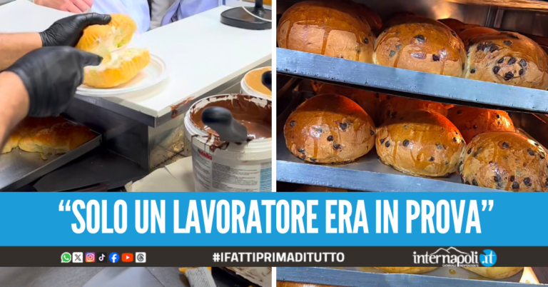 "Dobbiamo solo sistemare alcune cose", Cip & Ciop risponde alle accuse sui social