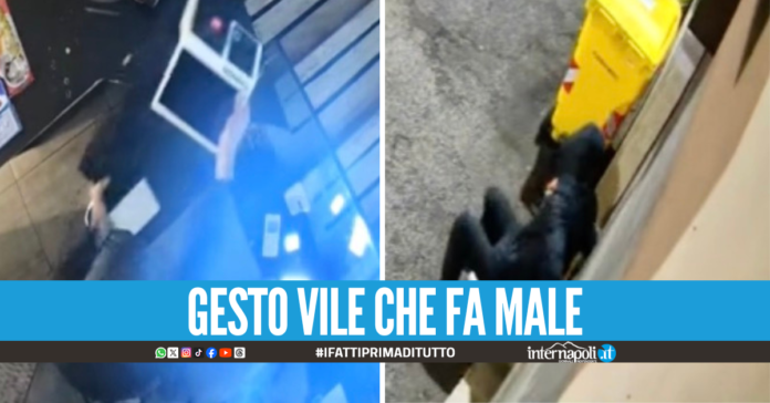 Raid nella salumeria star di TikTok 