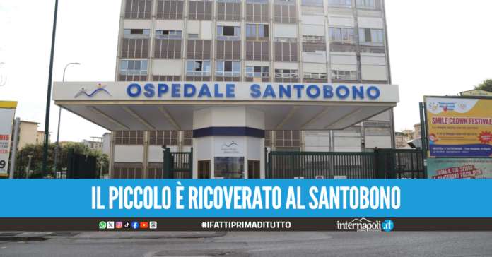 Bimbo di 11 anni investito nel Salernitano, individuato il pirata della strada