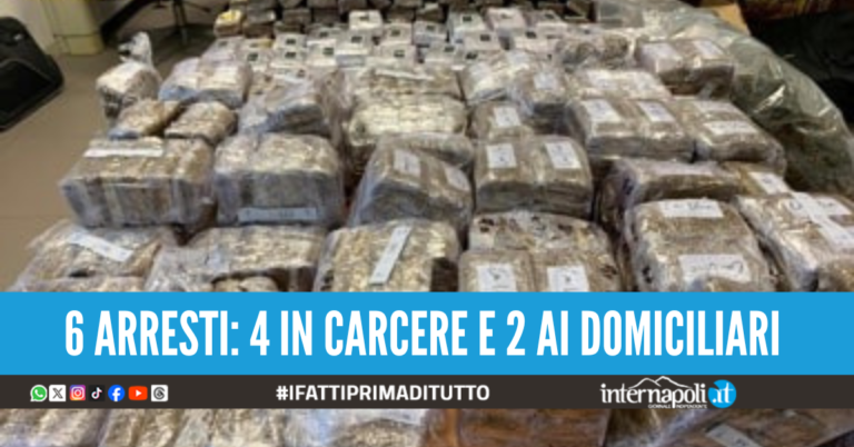 Droga dalla Spagna alla Campania, sequestro da 10 milioni di euro
