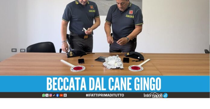 droga bus napoli