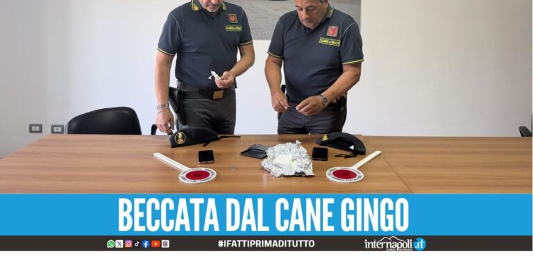 droga bus napoli