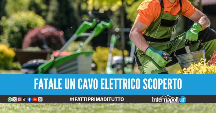 operaio morto giardinaggio quarto