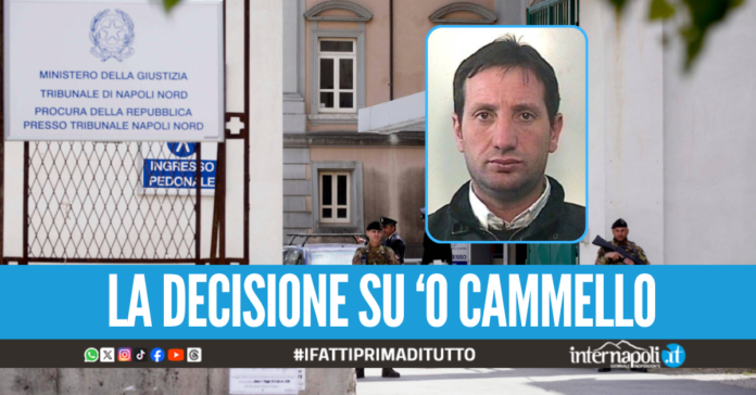 Scommesse e slot, assoluzione confermata in Appello per Gaetano Tufo