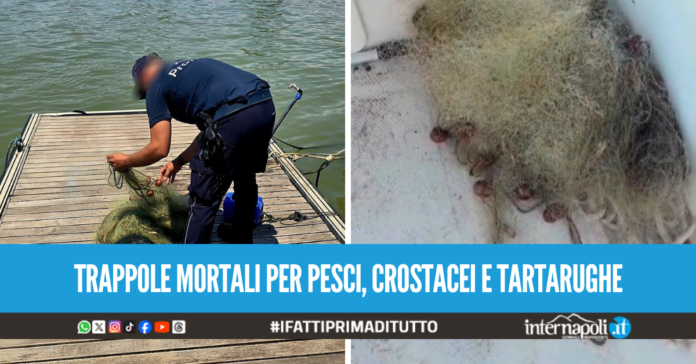 Blitz contro i 