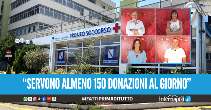 Emergenza sangue al Cardarelli, a rischio gli interventi programmati: 