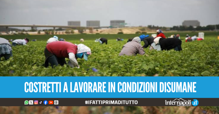 Braccianti lavoravano sotto al sole per 14 ore al giorno e 3 euro all'ora, la scoperta a Giugliano