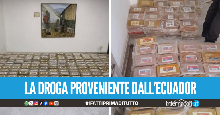 Carico da 800 kg di coca "purissima" nascosto tra le banane, maxi sequestro nel porto