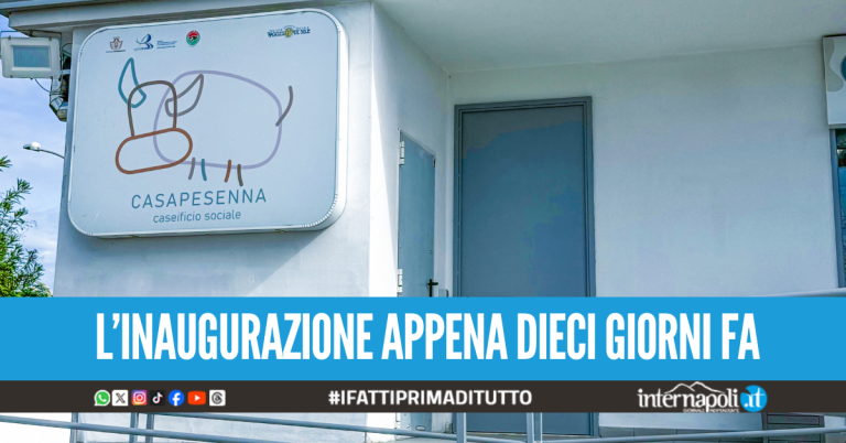 Furto al Caseificio Sociale di Casapesenna, ladri portano via la cassa automatica