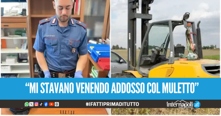 Tentano il furto in azienda e spara ai ladri, denunciato il custode