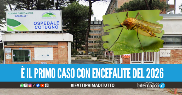 Torna l'incubo West Nile a Napoli, anziano di Marano ricoverato al Cotugno