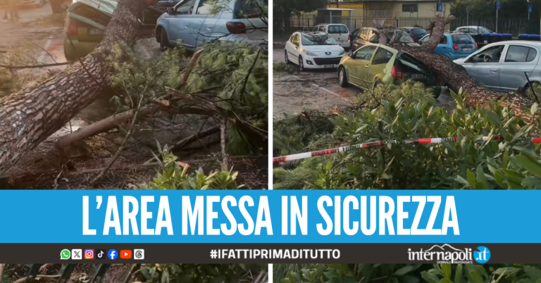 Il maltempo fa danni ad Acerra, albero crolla e distrugge cinque auto