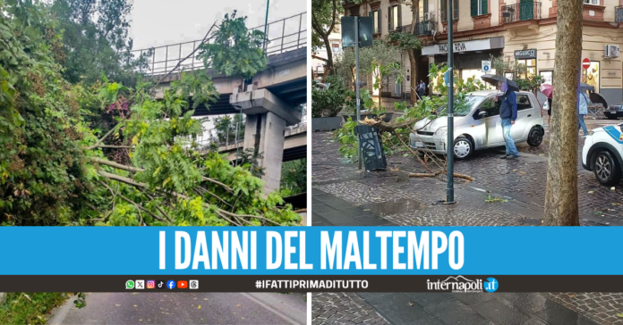 Danni del maltempo al Vomero, cadono alberi in via Jannelli e via Luca Giordano