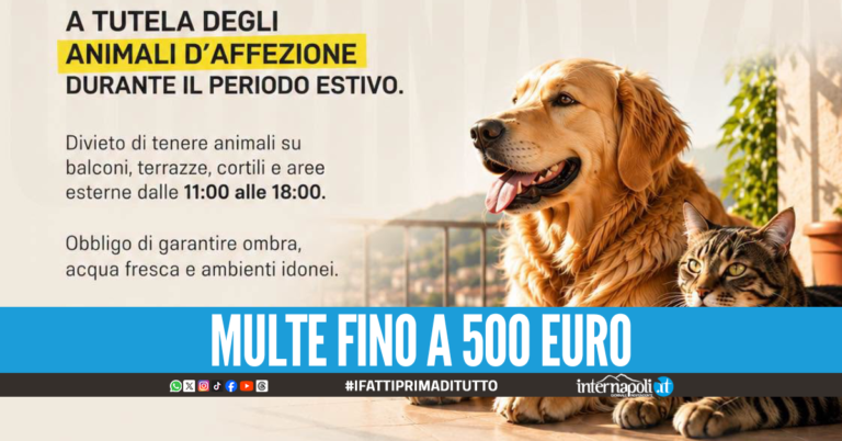 "Proteggere chi non ha voce": a Giugliano vietato lasciare gli animali sotto al sole