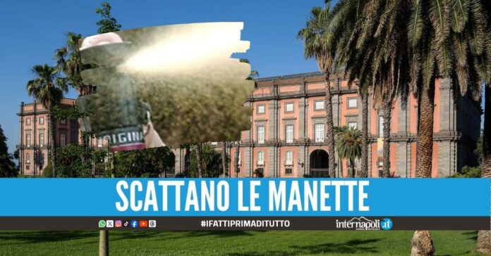 Follia a Capodimonte. Aggredisce il vigilante con calci, pugni e spray al peperoncino