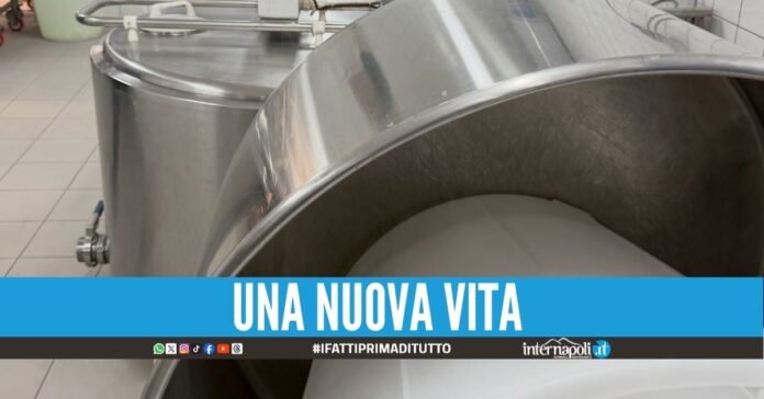 Il caseificio sociale nasce nel bene confiscato al nipote del boss Zagaria