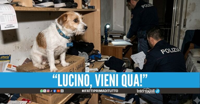 Il ras dell'Area 51 salvato dal cagnolino: aveva 30 grammi di cocaina in tasca