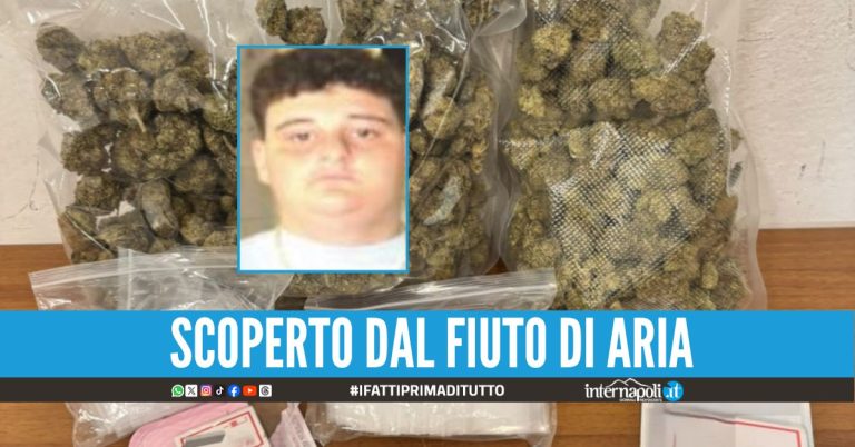 Marijuana nel box a Napoli, 19enne ‘incastrato’ dai cani antidroga