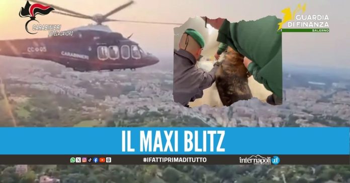 Indagine sull'immigrazione clandestina: 18 arresti da Napoli alla Lombardia