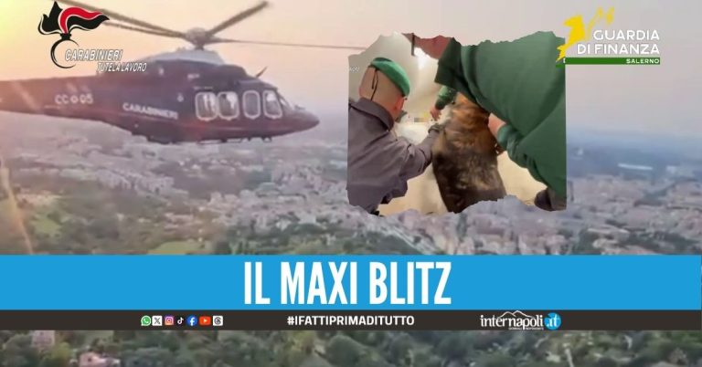 Indagine sull'immigrazione clandestina: 18 arresti da Napoli alla Lombardia