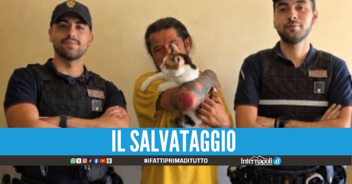 Resta intrappolato nel garage per due giorni, salvato il gattino Noah
