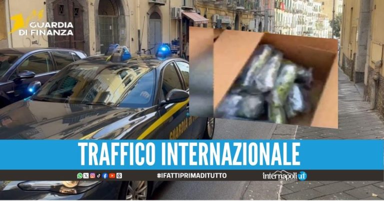 Sequestrati 180 kg di cocaina a Salerno, arrestati 2 narcos