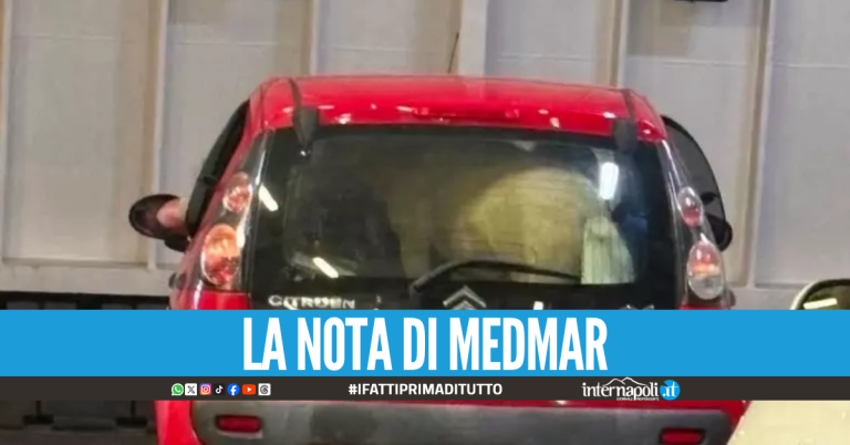 Pony in auto sul traghetto, Medmar: “Omissioni inammissibili e controlli non eseguiti”