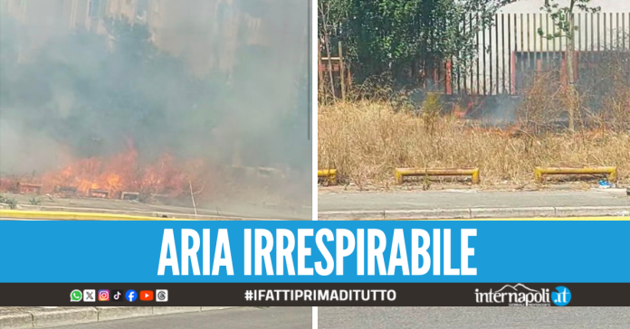 Incendio a Scampia, a fuoco le erbacce nell'area del Lotto S