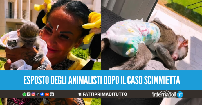Raccolta firme per oscurare i social a Rita De Crescenzo: raggiunta quota 13mila in poche ore