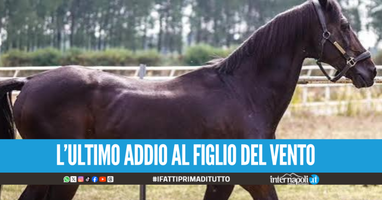Varenne è stato cremato, sorgerà un mausoleo in Campania dedicato al figlio del vento