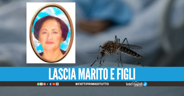 Qualiano, oggi i funerali di Silvana D’Alterio: la 72enne uccisa dal West Nile