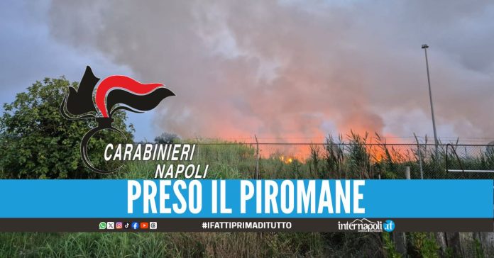 Brucia 70mila metri quadrati di vegetazione, arrestato a Licola
