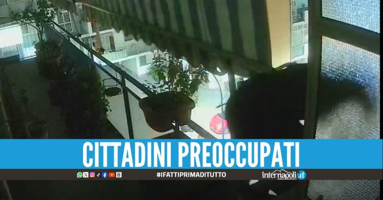Furti a Mugnano, pubblicato il filmato del 'topo d'appartamento' in fuga