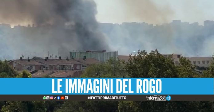 Incendio a Napoli, nube nera visibile da diversi chilometri