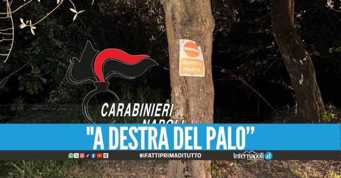 Nasconde la droga nell'ulivo, arrestato pusher nel Napoletano