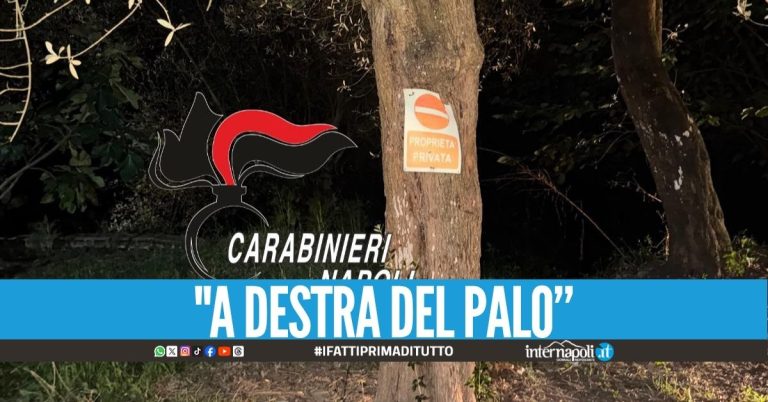 Nasconde la droga nell'ulivo, arrestato pusher nel Napoletano