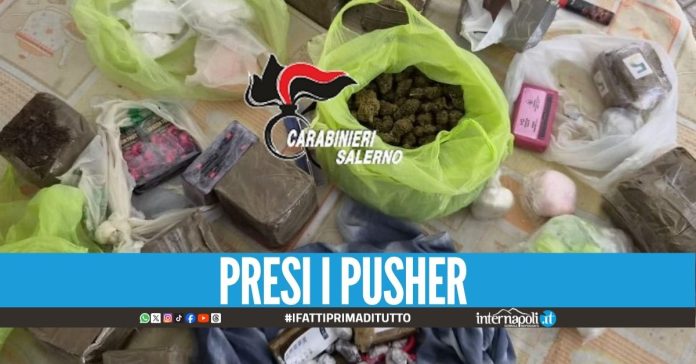 Cocaina rosa in giardino e hashish in lavatrice, pusher beccati nel Salernitano